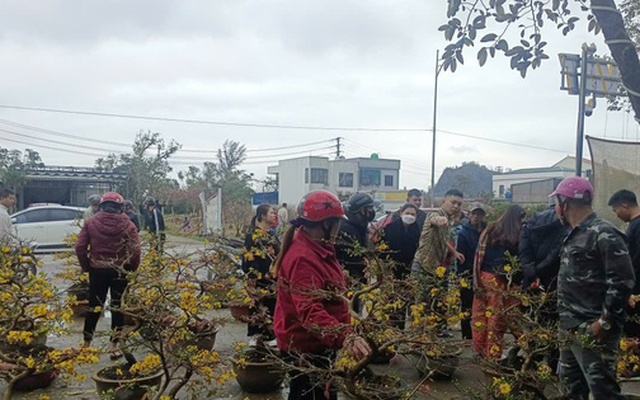 VIDEO: Nhiều người đến mua sau khi hay tin người từ Gia Lai ra Nghệ An bán mai Tết “bị lừa”