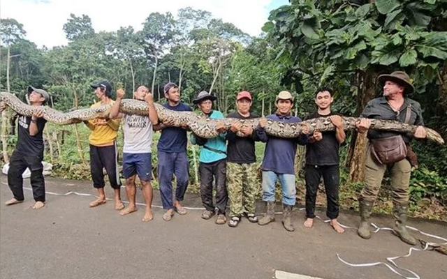 Vô tình bắt được "quái thú" dài hơn 7m, nặng gần 100kg: Guinness tìm tới tận nơi trao chứng nhận