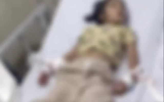 Bé gái 6 tuổi ở Quảng Trị tử vong nghi do chó dại cắn