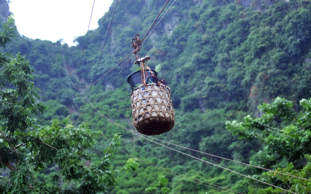 Đặc sản vùng núi phía Bắc được ví như "vua của các loại", Chủ tịch xã từng trực tiếp bán trên livestream