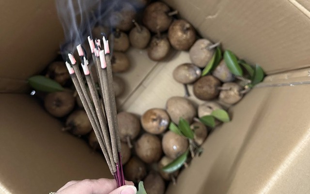 Cô gái cắm hương vào thùng hoa quả, nhiều người thắc mắc vì sao