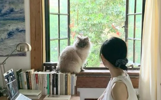 Vì sao ngày càng nhiều người chọn sống ở tầng hai? Sau khi ở thử, nhiều người thừa nhận: “Quyết định đáng giá nhất”