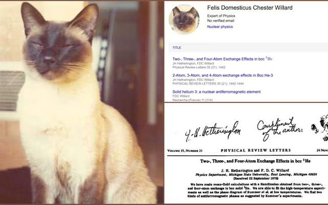 Chú mèo uyên bác nhất lịch sử là đồng tác giả 3 công trình vật lý và được mời làm việc tại đại học