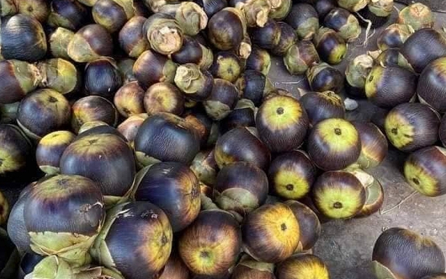 5 loại trái cây đặc sản miền Tây, cả nước hiếm nơi tìm thấy