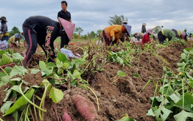 Việt Nam vừa đón một tin vui lịch sử từ Nhật Bản