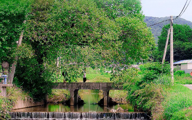 Phim Hàn cực hay nhưng bị coi là nỗi xấu hổ của nhà đài: Cặp chính đẹp như thơ cũng hết cứu