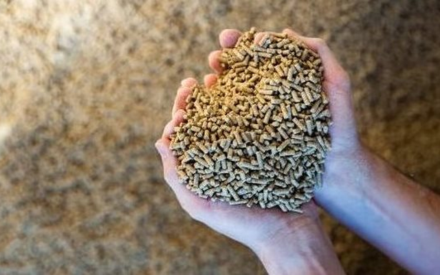 Căng thẳng Trung Đông: Trung Quốc gặp khó với một ngành công nghiệp đang dẫn đầu thế giới