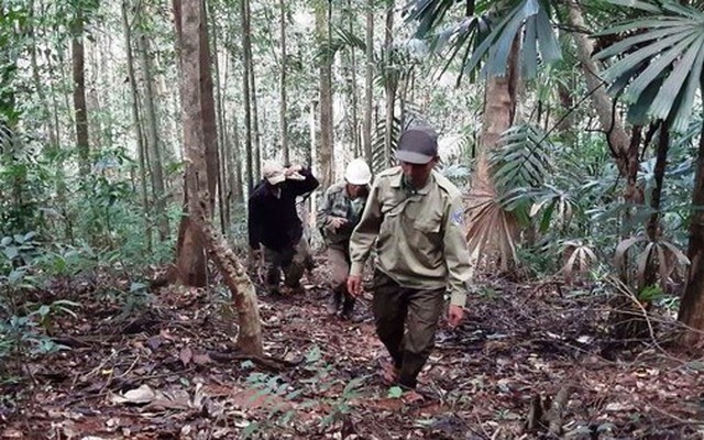 "Báu vật" Chư Mom Ray giữa đại ngàn Tây Nguyên