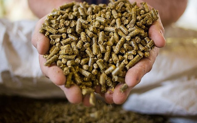 'Mỏ vàng' 250 triệu USD: Loại mặt hàng 'phụ phẩm' của Việt Nam đang được Trung Quốc săn đón ráo riết