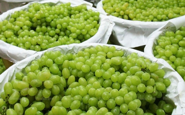 Trung Quốc vừa đón tin cực vui từ Việt Nam