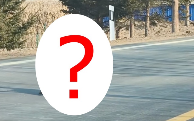 Thấy sinh vật cao gần 1 mét ngang nhiên băng qua đường, chuyên gia hé lộ đó là loài ít ai ngờ tới