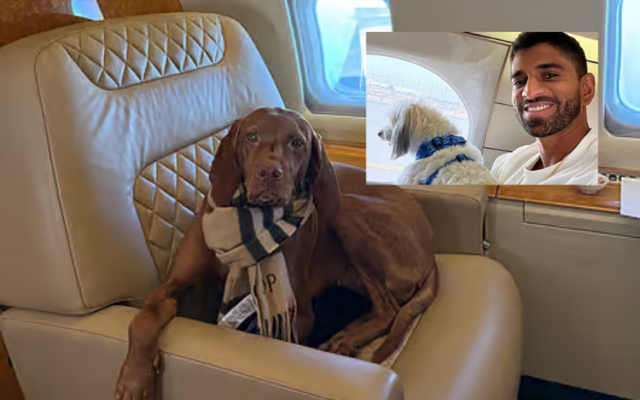 Đại gia thuê đứt chuyên cơ để chở thú cưng khỏi Dubai: “Đây là lựa chọn duy nhất đáng tin cậy nên tôi không quá bận tâm về chi phí”