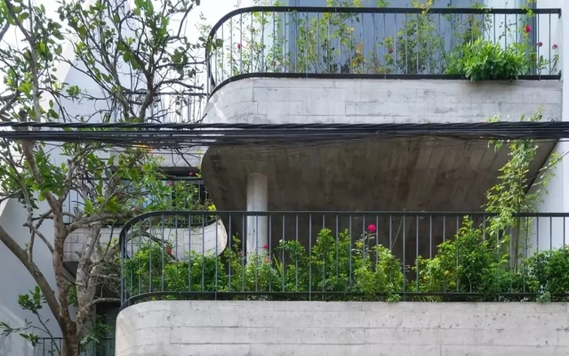 Nhà phố hiện đại kết nối con người và thiên nhiên