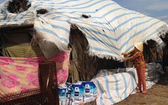 Ngày bố mẹ tôi dọn ra ở tạm góc vườn, chồng cười nhạt nói một câu mà tôi không quên được