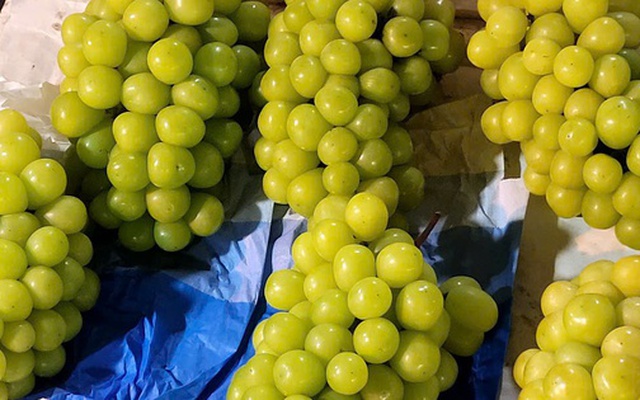 Việt Nam chi hàng trăm triệu USD nhập khẩu nho tươi Trung Quốc