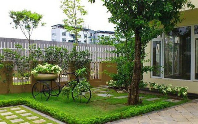 5 loại cây đừng trồng trước cửa nhà