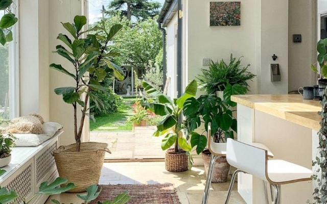 Ông bà nói: "Vận đến không ồn ào, nhưng sẽ có điềm báo" - 6 dấu hiệu cho biết nhà bạn có lộc trời ban