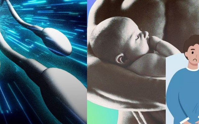 TikTok dậy sóng trào lưu “tối ưu tinh trùng”: Ám ảnh vô sinh khiến đàn ông trẻ lao vào đủ chiêu kỳ lạ