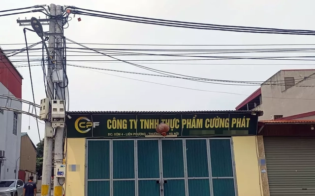 Bên trong công ty cung cấp thịt lợn nhiễm dịch tả lợn Châu Phi vào trường học