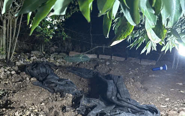 Sau khi sát hại và phi tang thi thể cụ bà, nghi phạm trèo lên cây trốn