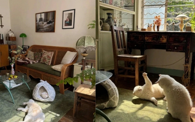 Cụ bà 73 tuổi không phiền con cháu, già đi lặng lẽ trong căn nhà cũ ở quê: Cuộc sống dịu dàng, chữa lành đến lạ