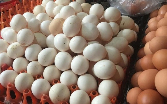 Mua trứng: Nên chọn quả to hay quả nhỏ? Người chăn nuôi tiết lộ đáp án