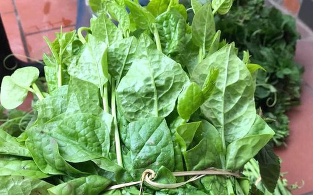 5 loại rau "bổ hơn thịt, rẻ hơn thuốc", bán đầy rẫy ở chợ Việt