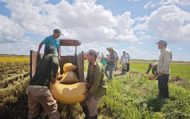 Cuba lần đầu "mở cửa" sâu cho doanh nghiệp Việt Nam: Một dự án nhỏ trở thành hình mẫu, điều gì đang diễn ra?