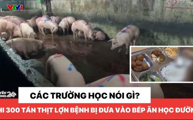 Nguy cơ kép từ 300 tấn thịt lợn bệnh - trẻ em chịu ảnh hưởng nặng nề nhất!