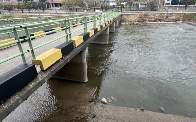 Vụ vali chứa thi thể ở trung tâm thành phố: Bắt giữ con gái và con rể nạn nhân