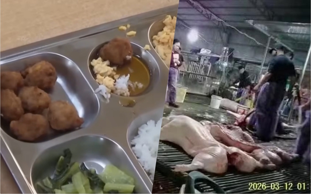 Vụ 300 tấn thịt lợn bệnh: Bất ngờ lời "kêu oan" của công ty trực tiếp đưa heo bệnh vào các trường học