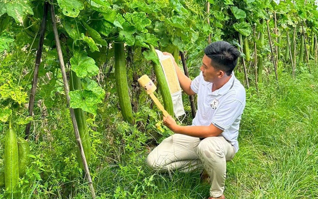 'Hô biến' xơ mướp thành 60 sản phẩm xanh chinh phục thị trường