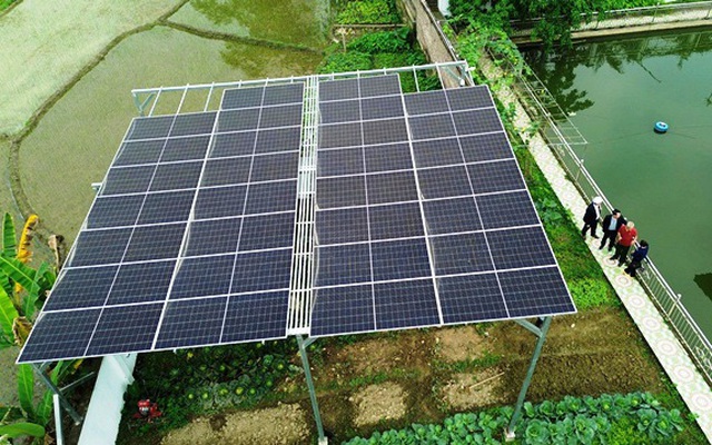 Bỏ tiền lắp thứ này trong vườn nhà, người đàn ông Lào Cai giảm 90% hóa đơn điện