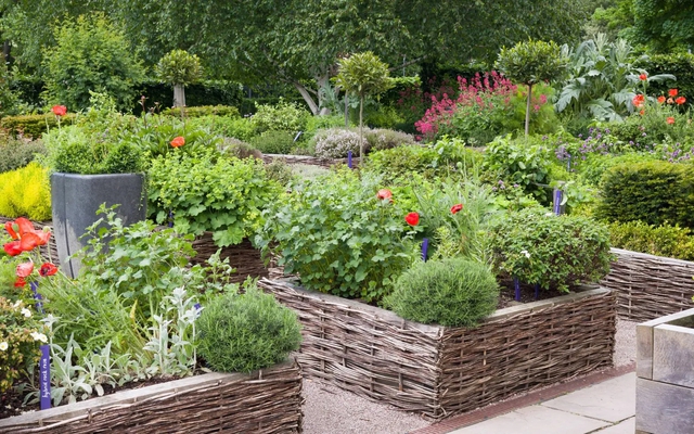 4 loại cây nên trồng trong vườn: Có 1 cũng tốt đủ đường