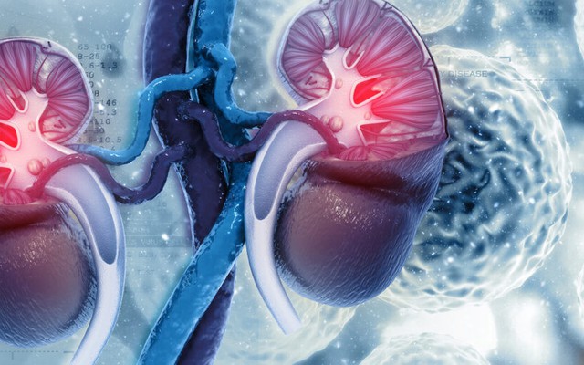 Thận xuống cấp nhanh chóng nếu ăn quá nhiều 9 loại thực phẩm này: Toàn món khoái khẩu của nhiều người