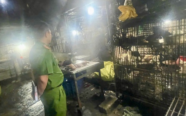 TPHCM: "Đột kích" 2 lò giết mổ chó, mèo trong khu dân cư