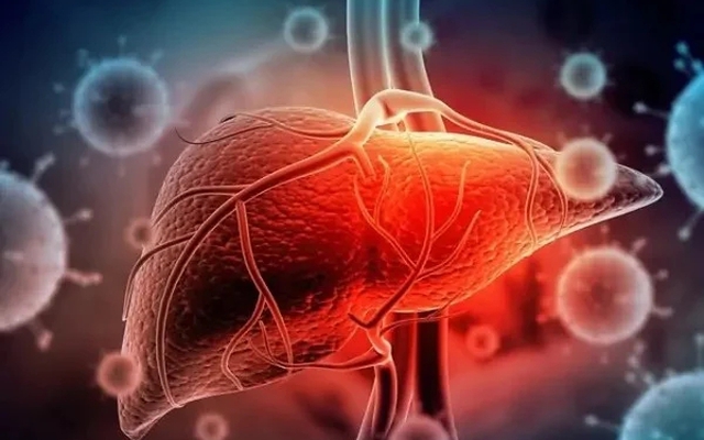 Thói quen biến “thuốc bổ” thành “chất độc” với lá gan của nhiều người Việt: Bác sĩ cảnh báo khẩn