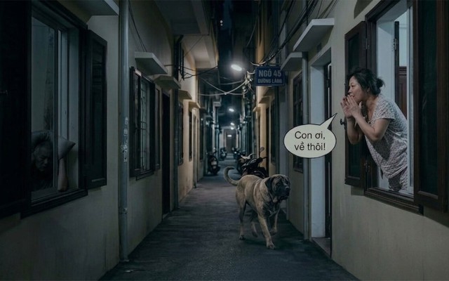 Thường xuyên tỉnh giấc giữa đêm vì hàng xóm gọi chó 'con ơi về đi' ầm cả ngõ