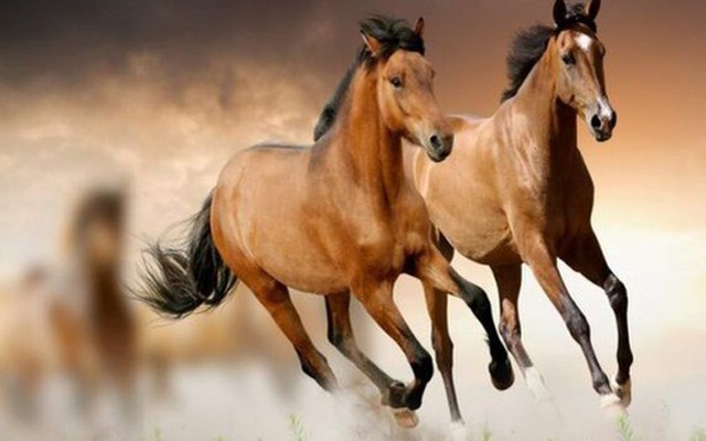 Chuyên gia dự báo: Từ giữa tháng 4/2026, 4 tuổi này có tín hiệu tài lộc khởi sắc, cơ hội tăng thu nhập rõ rệt