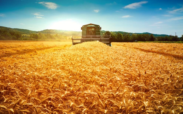 Nga phát minh đột phá trong lĩnh vực giảm phát thải nông nghiệp, củng cố vị thế "số 1 thế giới"