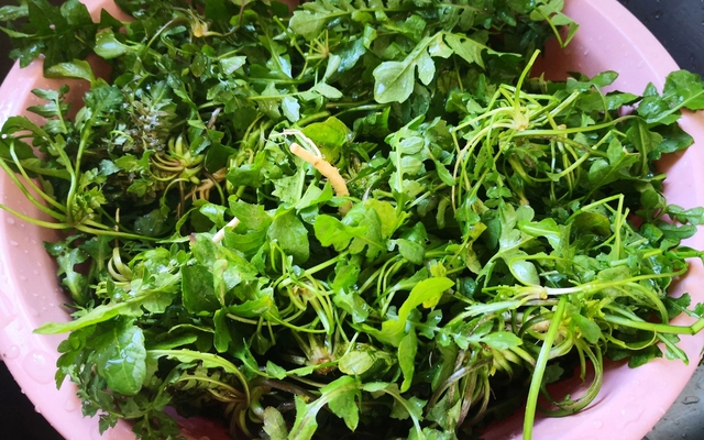 3 loại rau bổ gan, nên bổ sung ngay vào bữa ăn của cả nhà: Loại cuối cùng mọc hoang đầy Việt Nam