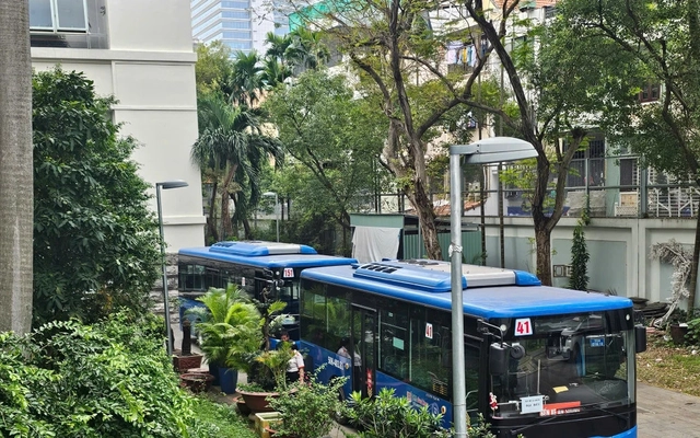 TPHCM muốn miễn phí xe buýt toàn dân