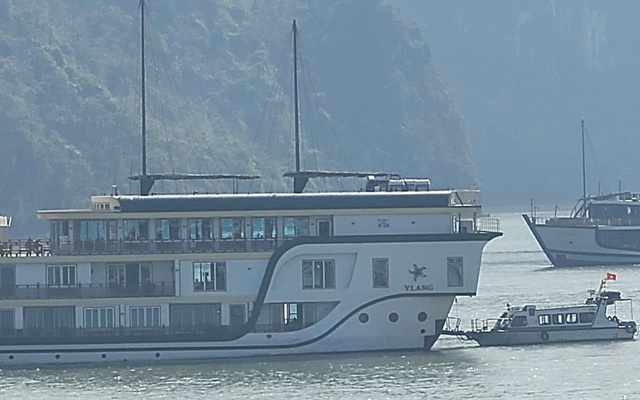 Sử dụng Starlink trái phép, chủ tàu du lịch ở Cát Bà bị phạt 70 triệu đồng