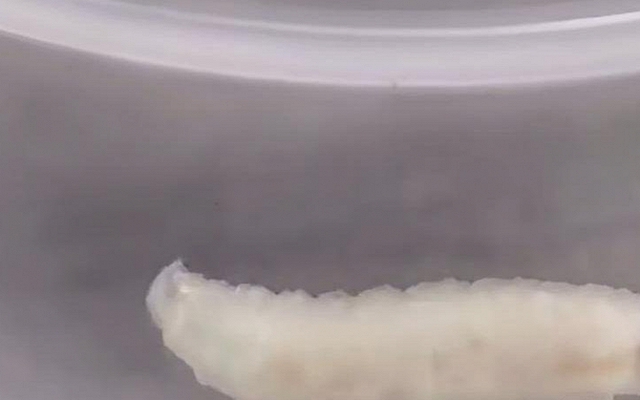 KINH HOÀNG: Suất cơm ở trường của con bốc mùi lạ, phụ huynh kiểm tra thì nôn ọe vì thấy GIUN bò ngoe nguẩy bên trong thịt tôm!