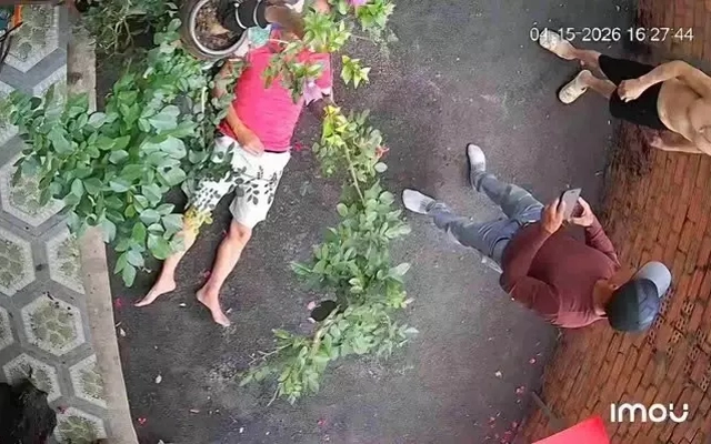Người đàn ông bị hàng xóm đánh bất tỉnh vì chậu cây