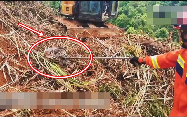 Đang dọn cỏ, người đàn ông lạnh gáy khi thấy "khối đen" ngọ nguậy: Lực lượng chức năng nhanh chóng có mặt