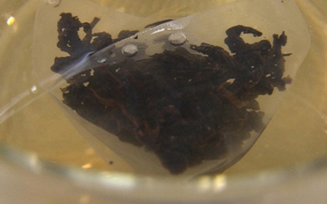 6 thói quen hàng ngày khiến bạn nuốt hàng tỷ hạt vi nhựa: Số 1 người Việt làm nhiều, mỗi lần đưa 11.6 tỷ vi nhựa vào người