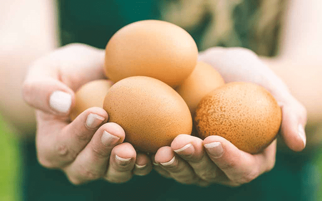 Ăn trứng mỗi ngày có làm tăng mỡ máu? Bác sĩ nói rõ sự thật nhiều người hiểu sai