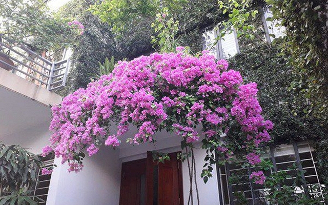 Không phải mê tín: Nếu nhà xuất hiện 7 dấu hiệu này, may mắn kéo dài, vừa đẹp sang vừa hút lộc, bảo sao càng ở càng hưởng lợi