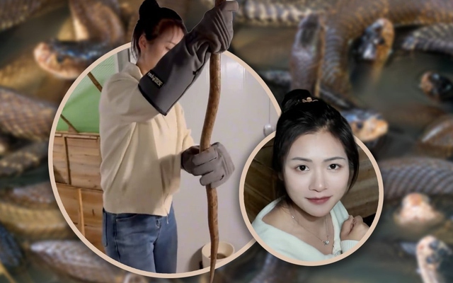 Bỏ phố về làng nuôi 60.000 rắn độc, cô gái Trung Quốc khiến mạng xã hội sửng sốt với thu nhập tiền tỷ